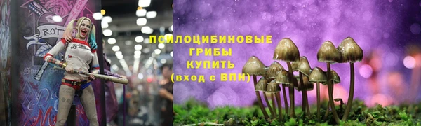 MDMA Богородск