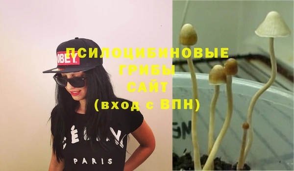 2c-b Касимов