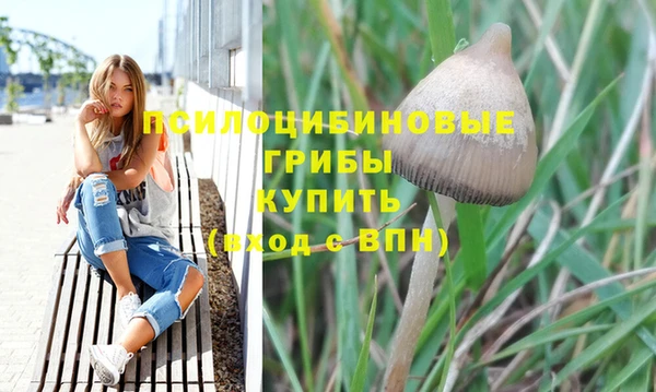 мдпв Богородицк
