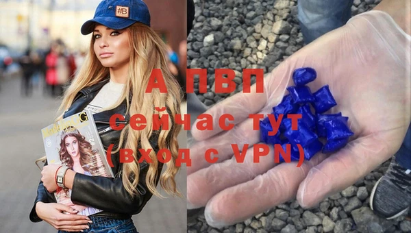 стафф Белоозёрский