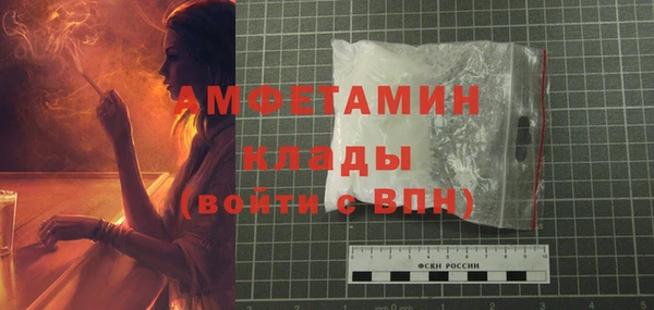 шишки Карпинск